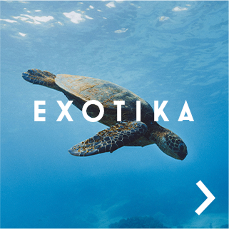 Exotika