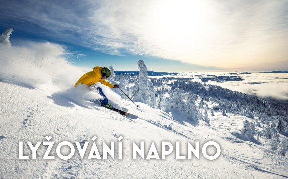 Lyžování