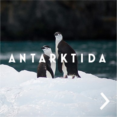 Antarktida