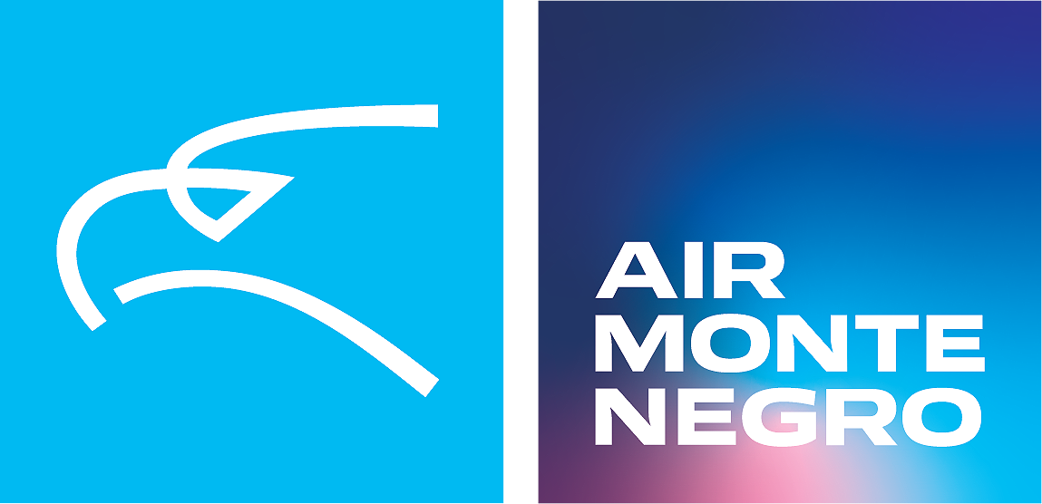 airline logo