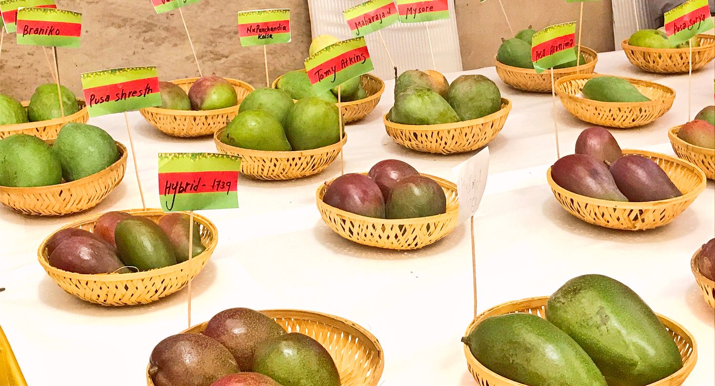 Mango Festival