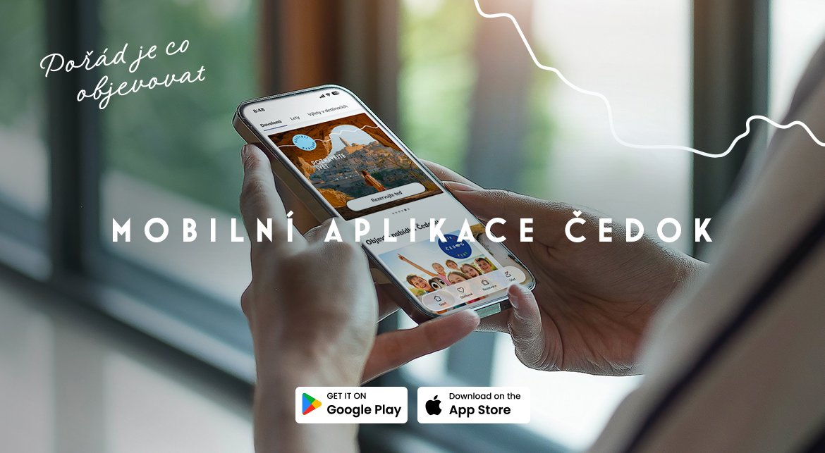 Mobilní aplikace