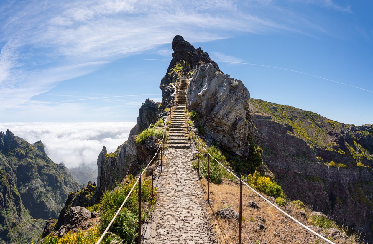 pico di arierio