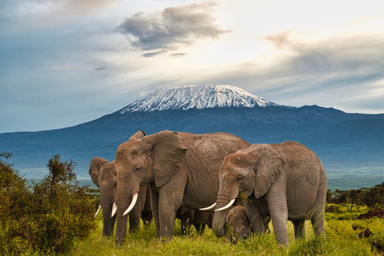 Tsavo