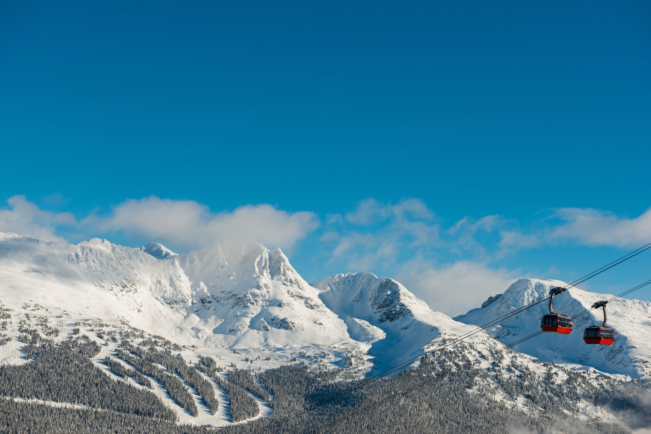 whistler