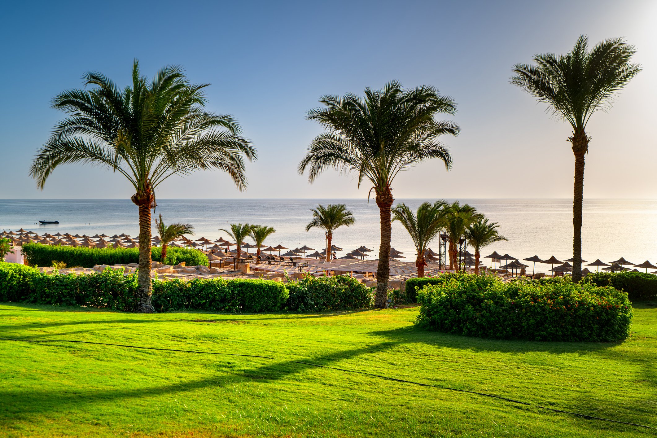 marsa alam úvodní
