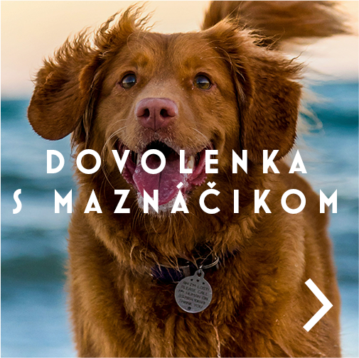 Dovolenka s maznáčikom