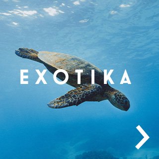 Exotika