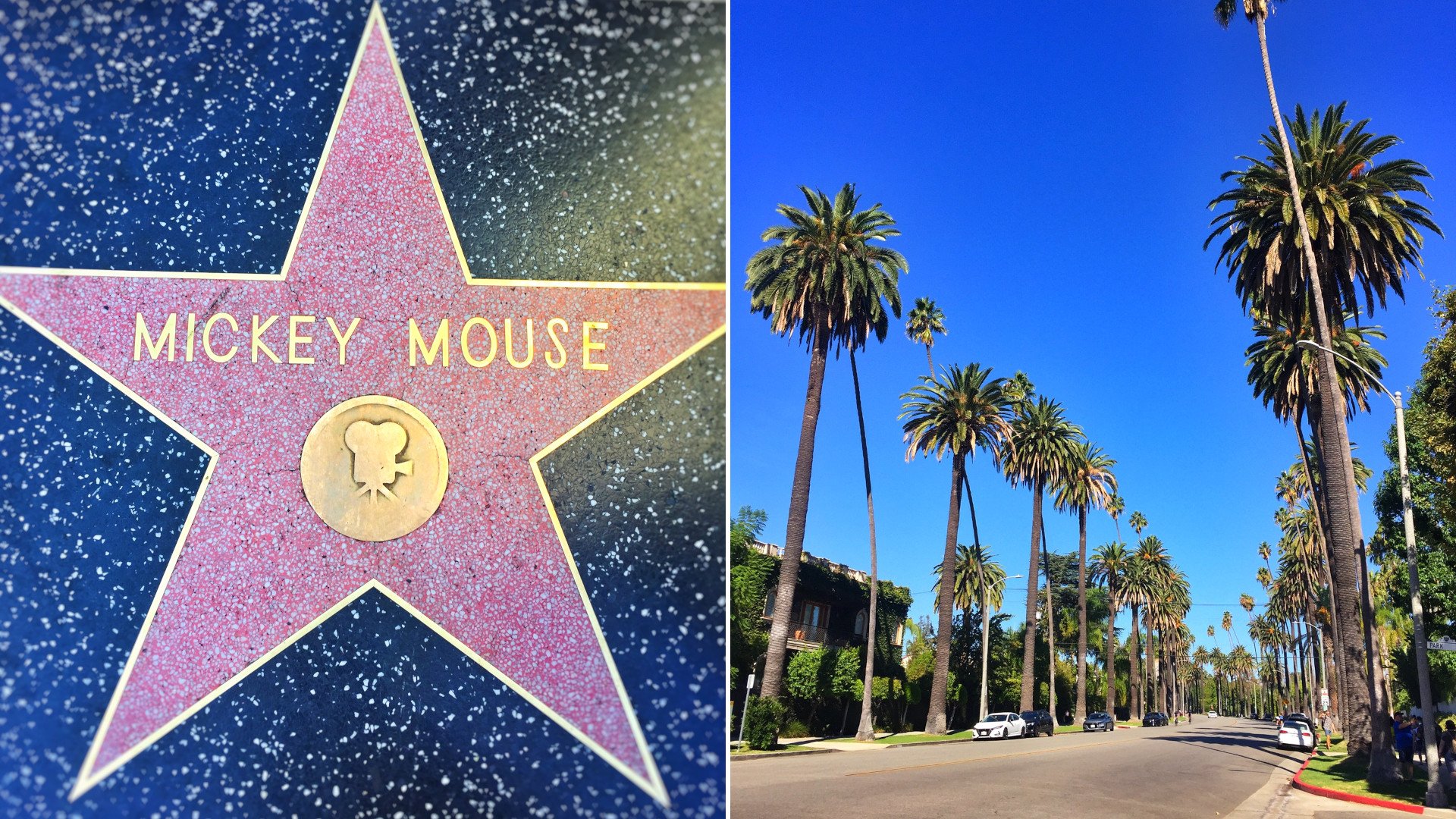 Asmeninio archyvo nuotr., JAV