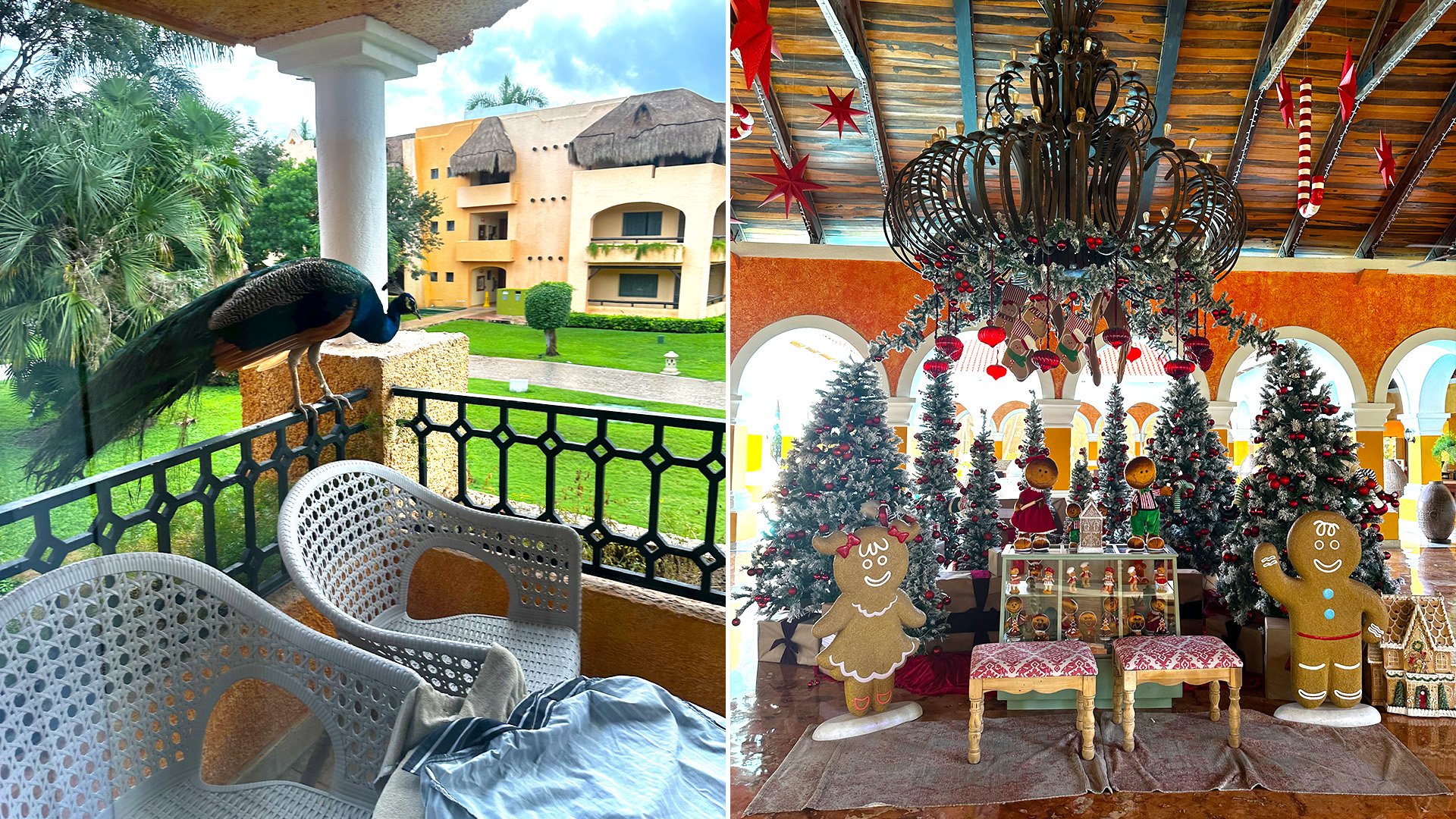 Asmeninio archyvo nuotr., Meksika