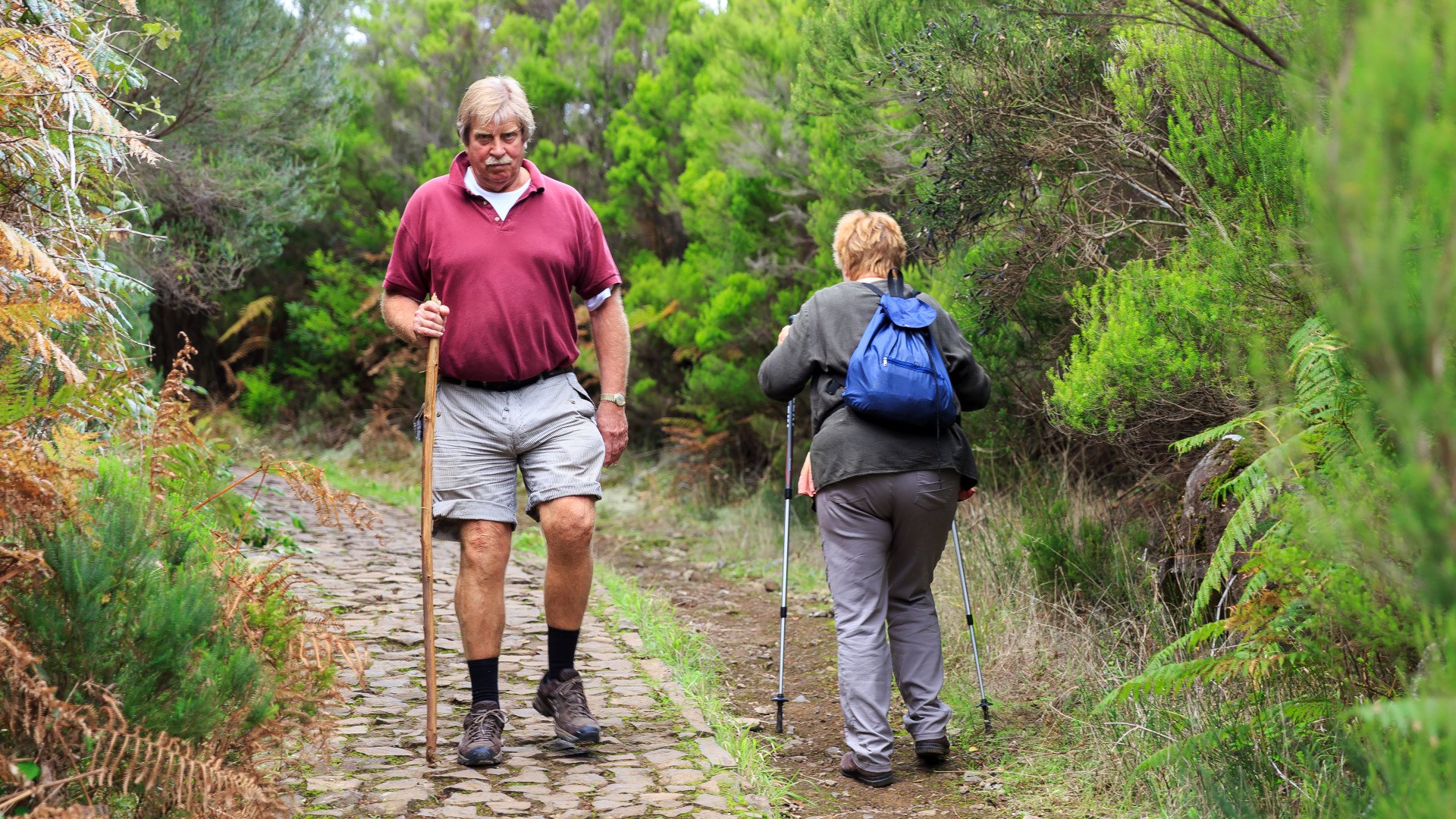 „25 krioklių“ levada, Madeira
