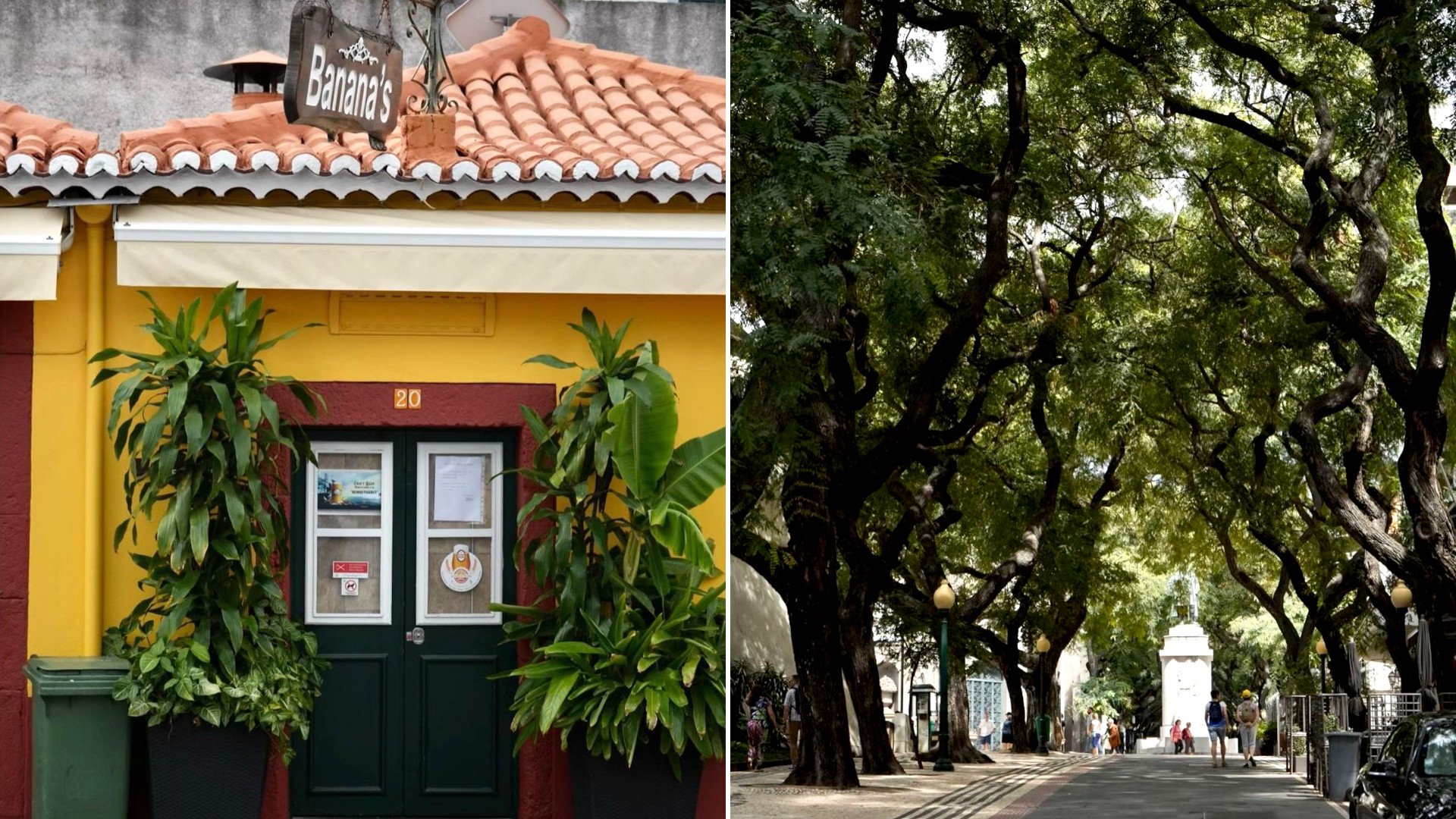 Asmeninio archyvo nuotr., Madeira
