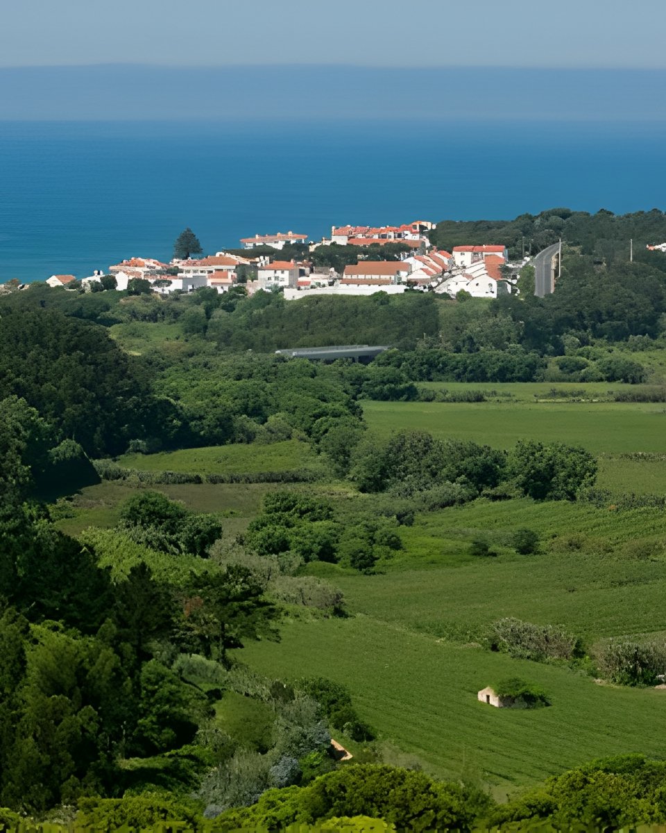 Portugália 2
