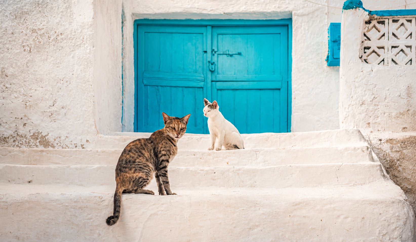 Mykonos vagy Santorini? Melyik görög sziget illik hozzád?