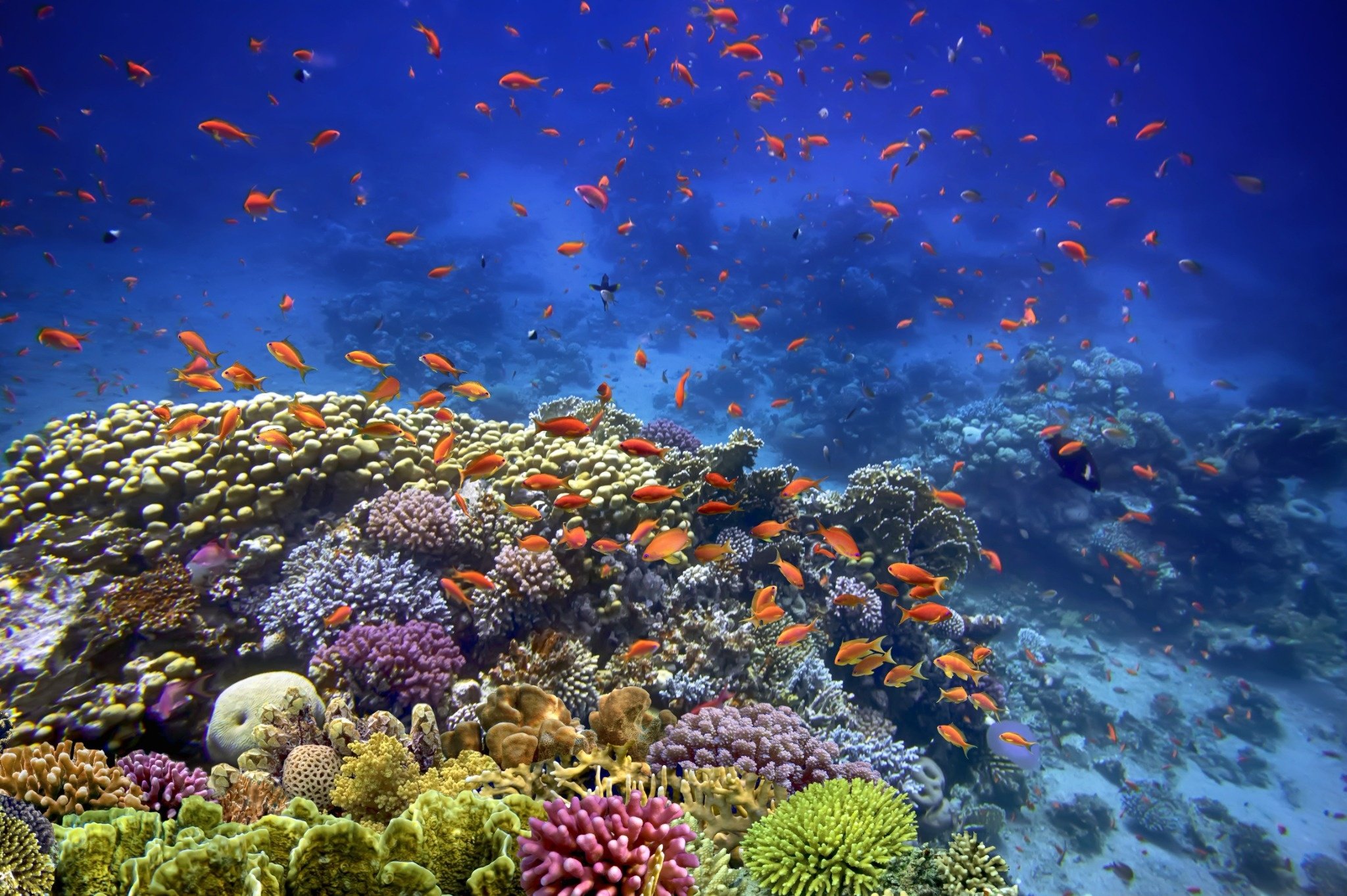 Sharm el-Sheikh több mint tengerpart – 8 élmény, amiért visszavágysz