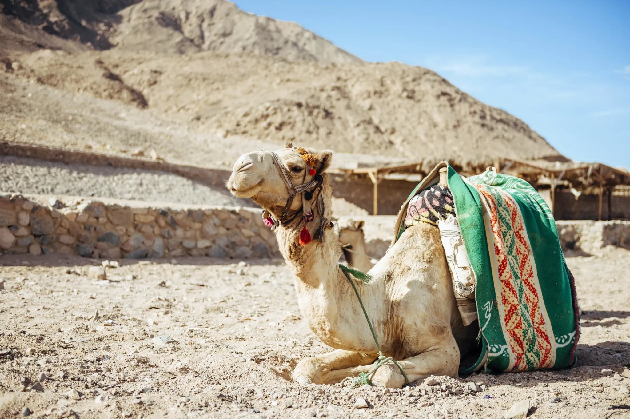 Sharm el-Sheikh több mint tengerpart – 8 élmény, amiért visszavágysz