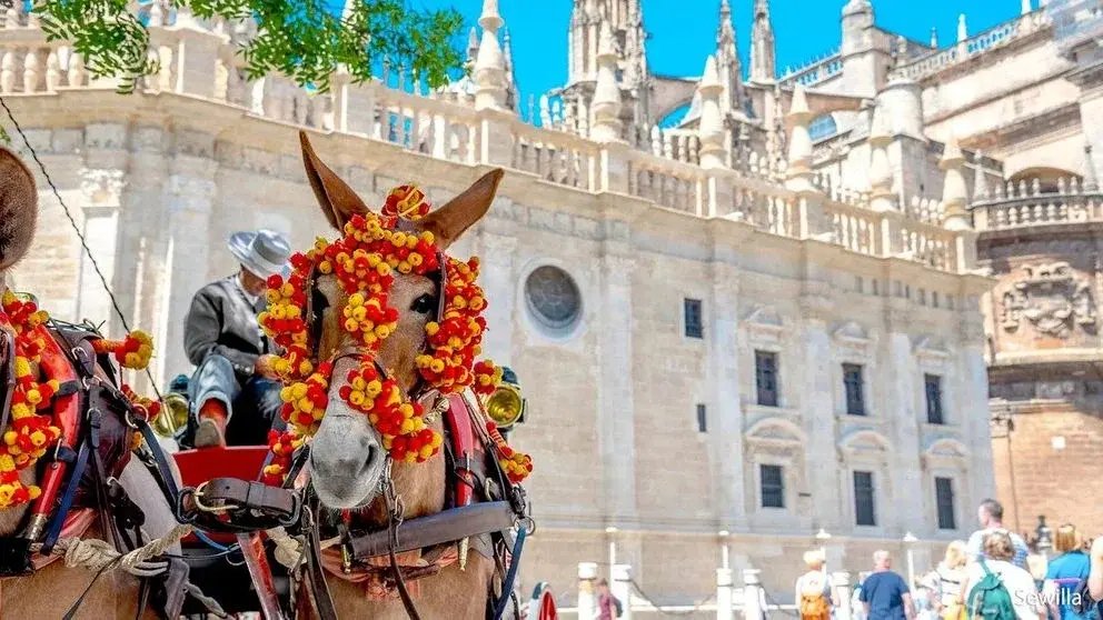 Andalúzia körút ősszel – fedezd fel Málaga, Granada látnivalóit
