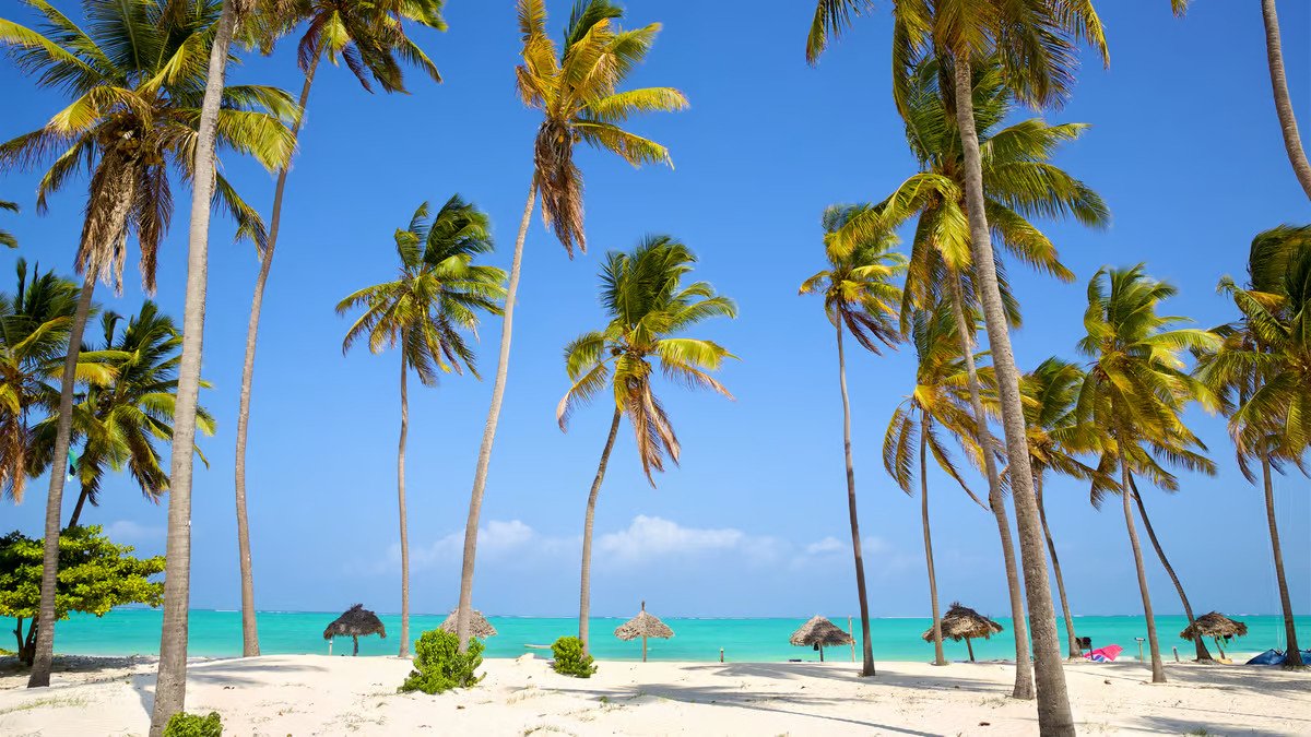 Zanzibár