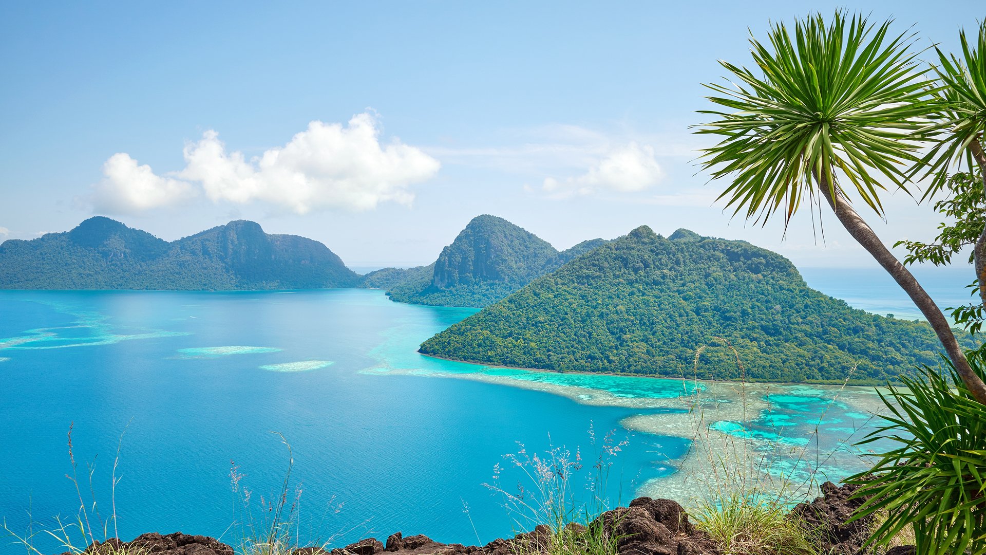 Borneo