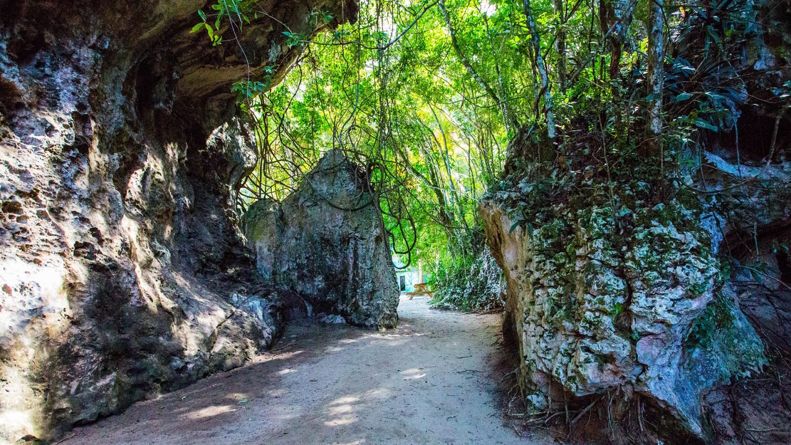 dominikana-co-warto-zobaczyc-galeria-2