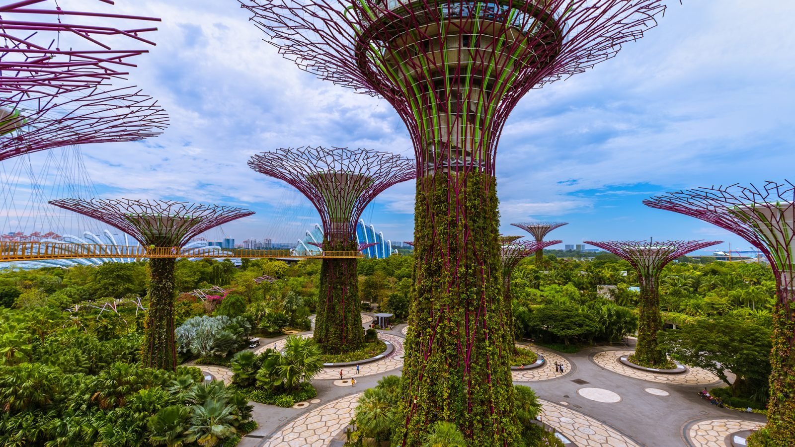 Supertrees w Gardens by the Bay