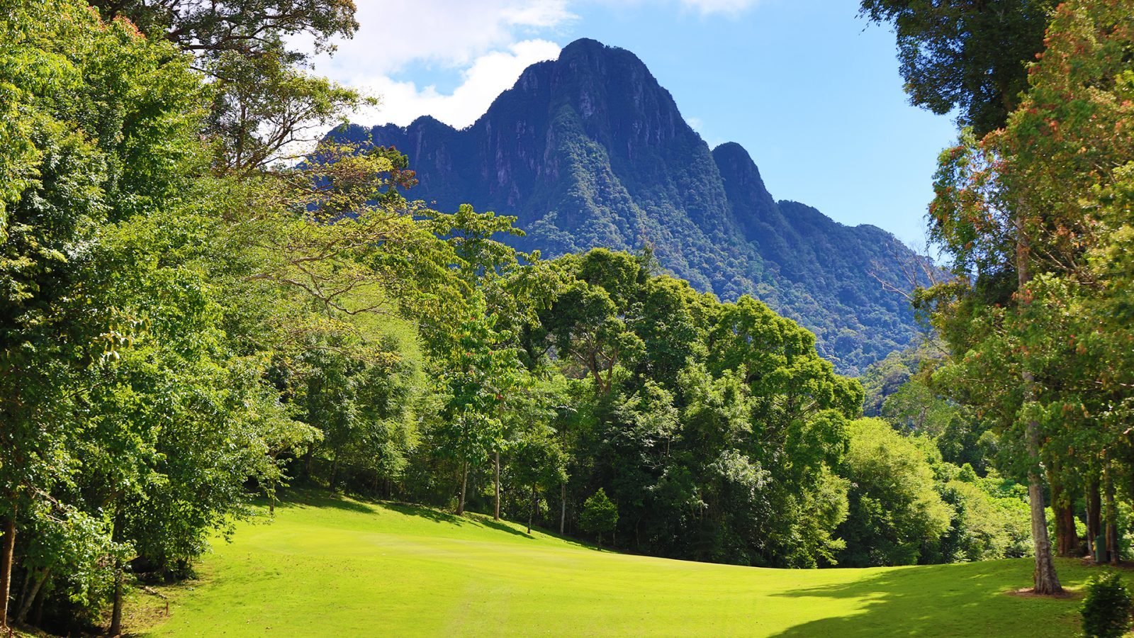Przyroda na wyspie Langkawi 