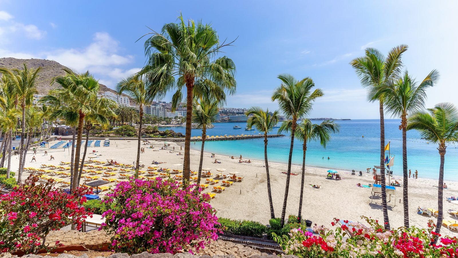 Las Palmas Gran Canaria