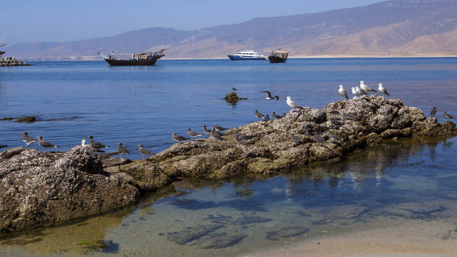 oman-co-zobaczyc-galeria-2