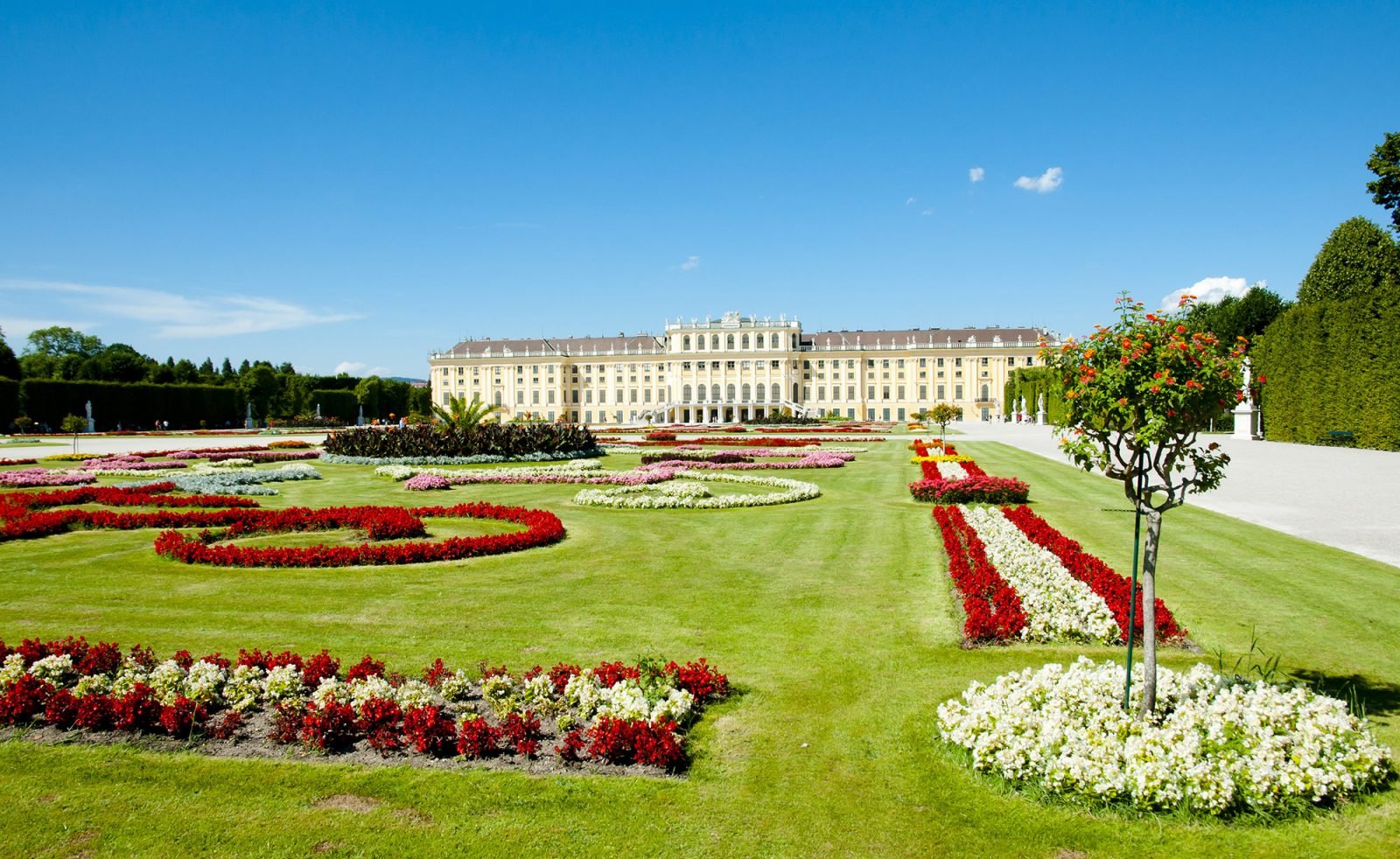 co-zobaczyc-w-wiedniu