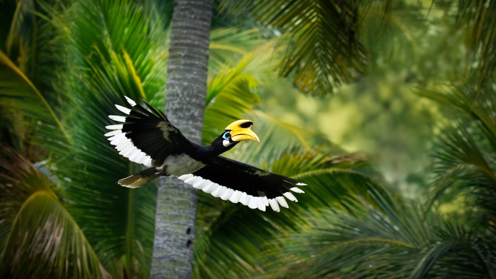 Zwierzęta w Parku Taman