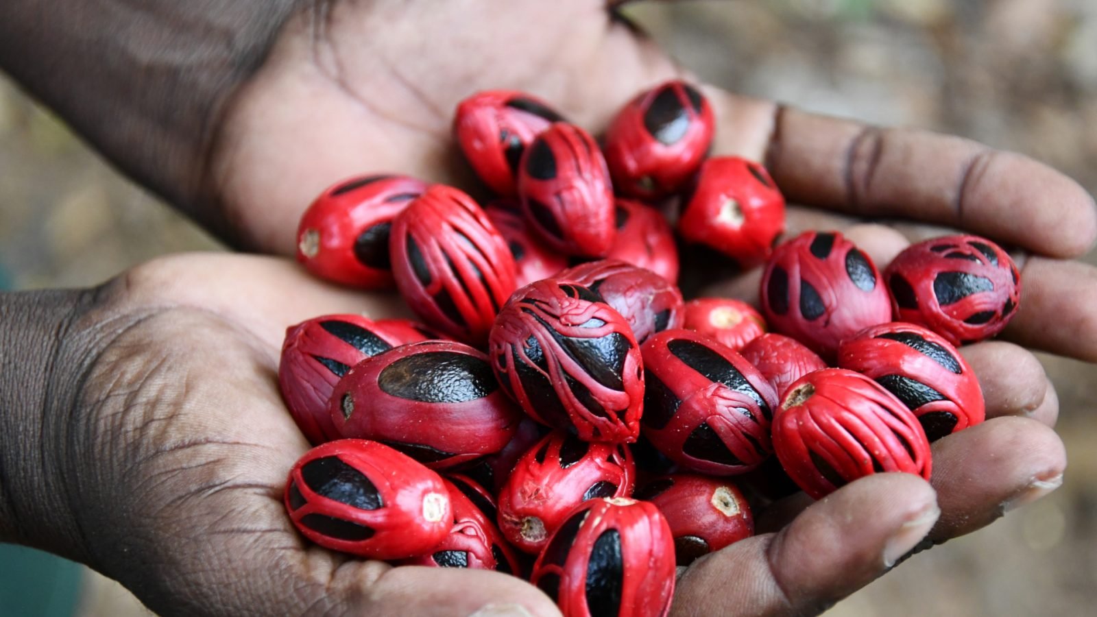 wakacje-na-zanzibarze-dlaczego-warto-sie-tam-wybrac-galeria-1