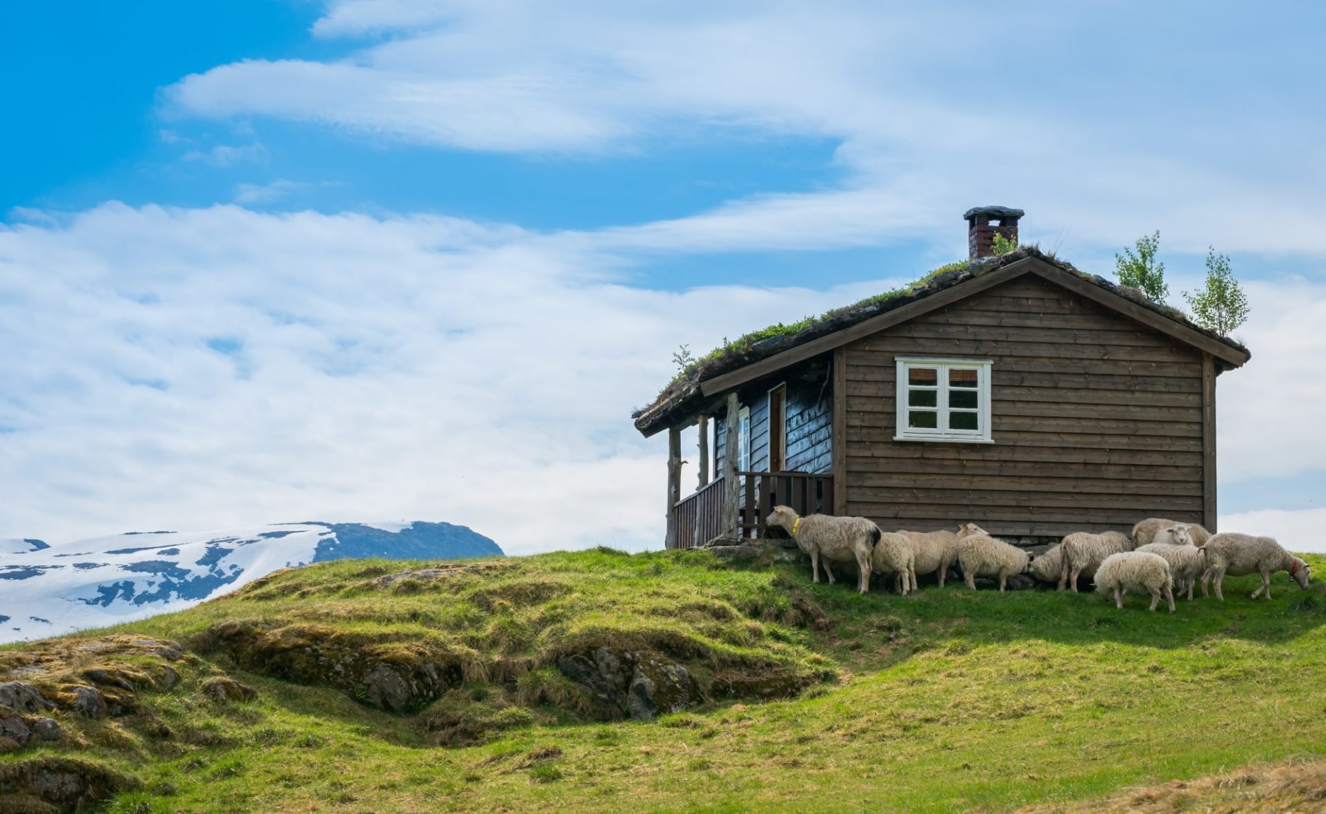 poznaj-typowych-norwegow-galeria-1