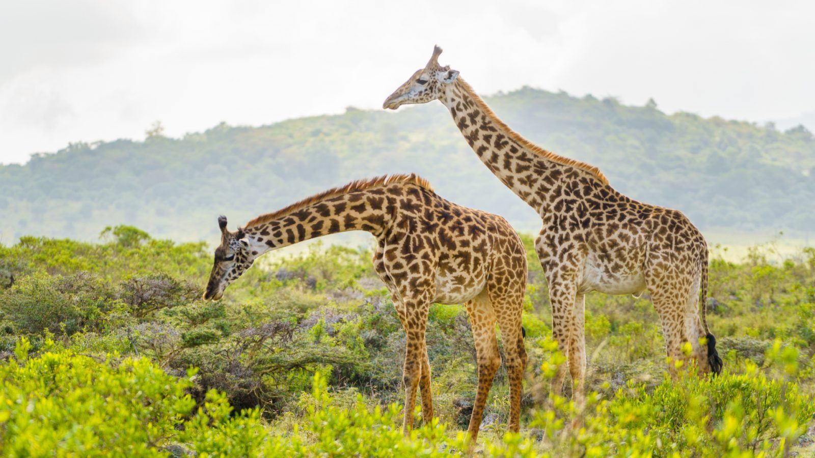 wakacje-na-zanzibarze-dlaczego-warto-sie-tam-wybrac-galeria-2