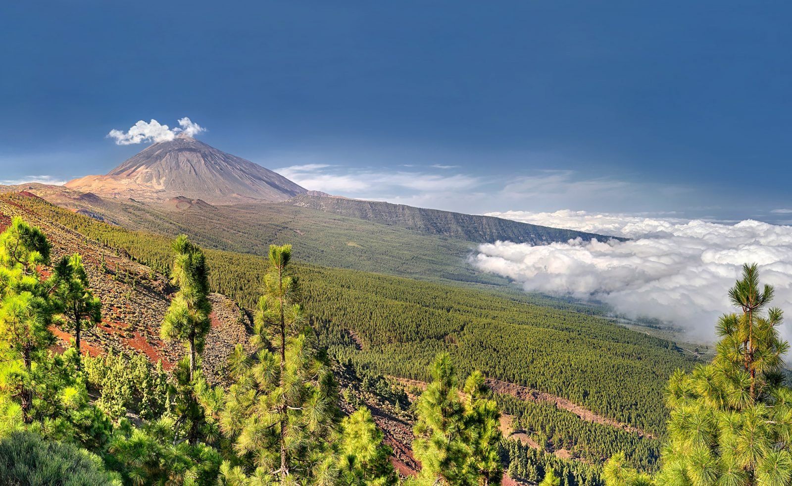 wulkan-teide-na-teneryfie-wszystko-co-musisz-wiedziec
