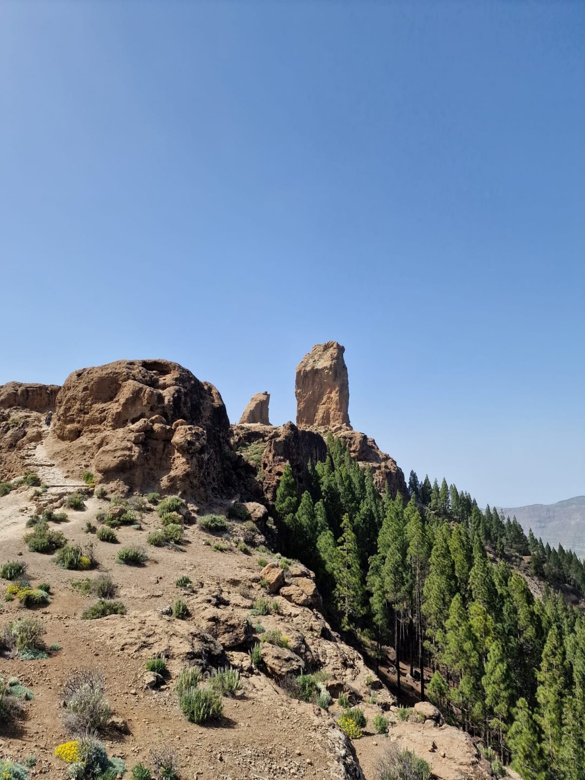 czym-sie-wyroznia-gran-canaria-czyli-gdzie-na-wczasy-na-wyspy-kanaryjskie-galeria-2