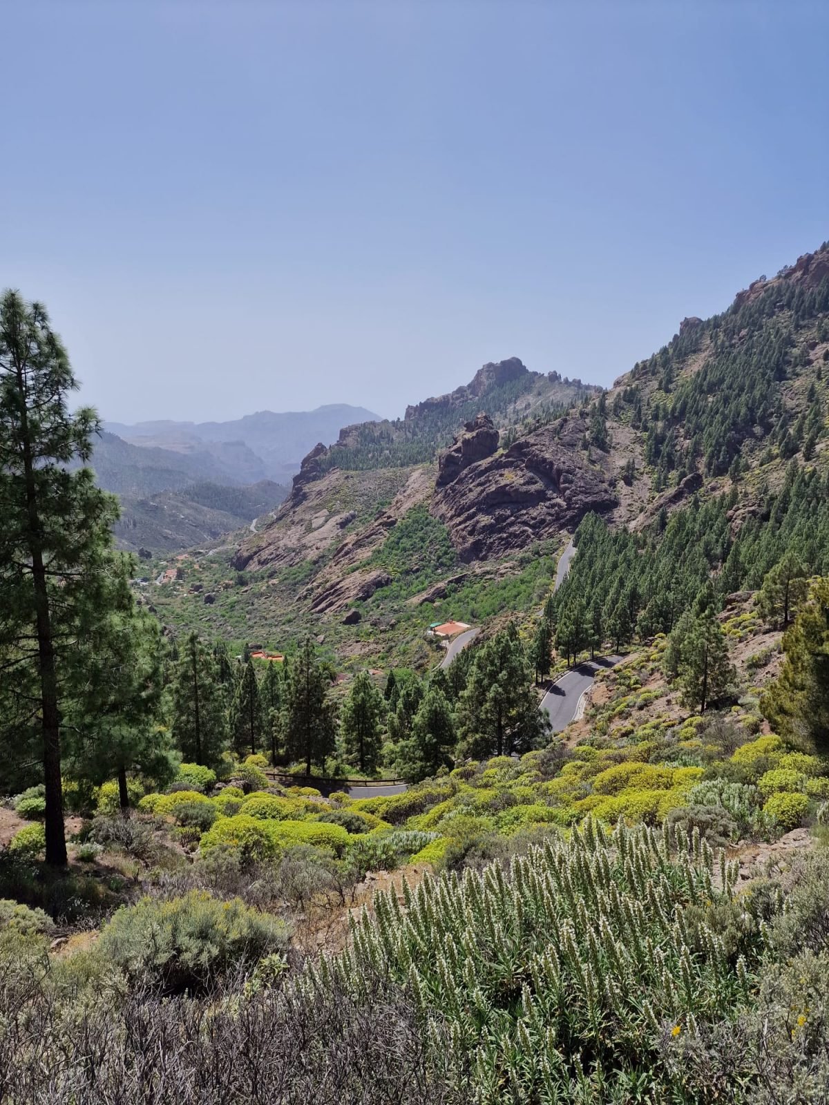 czym-sie-wyroznia-gran-canaria-czyli-gdzie-na-wczasy-na-wyspy-kanaryjskie-galeria-3