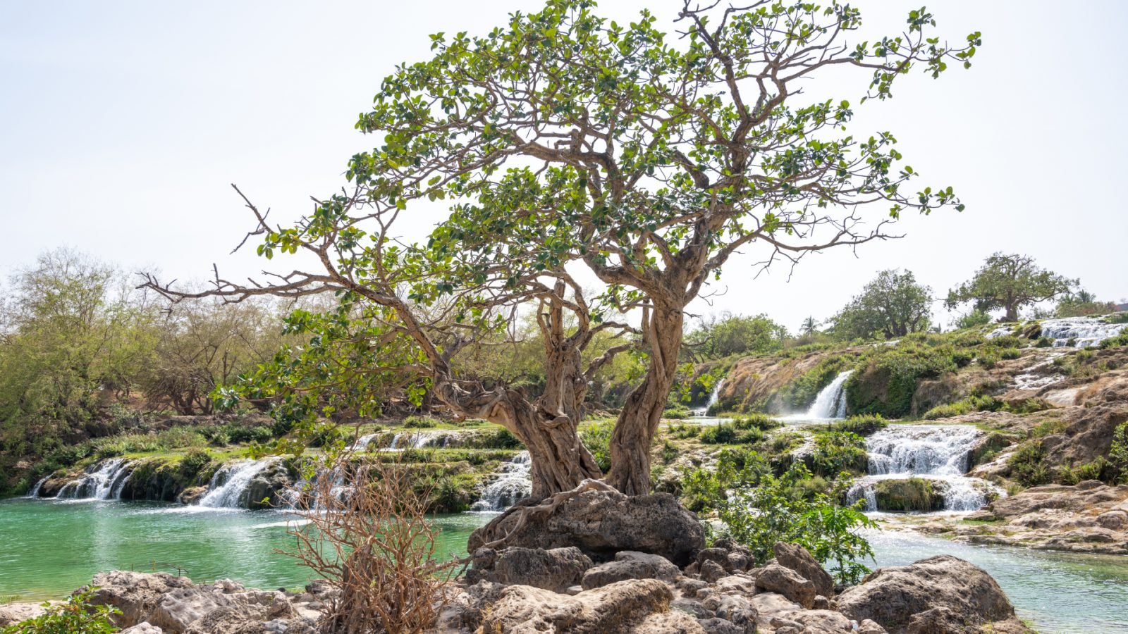 oman-co-zobaczyc-galeria-2