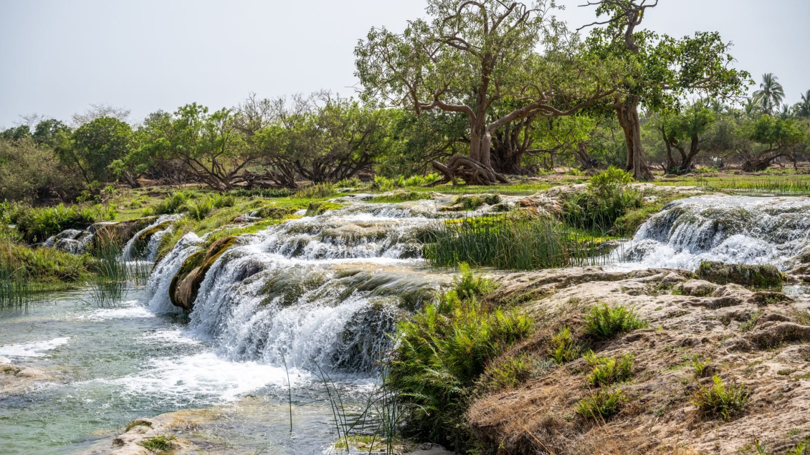 oman-co-zobaczyc-galeria-3