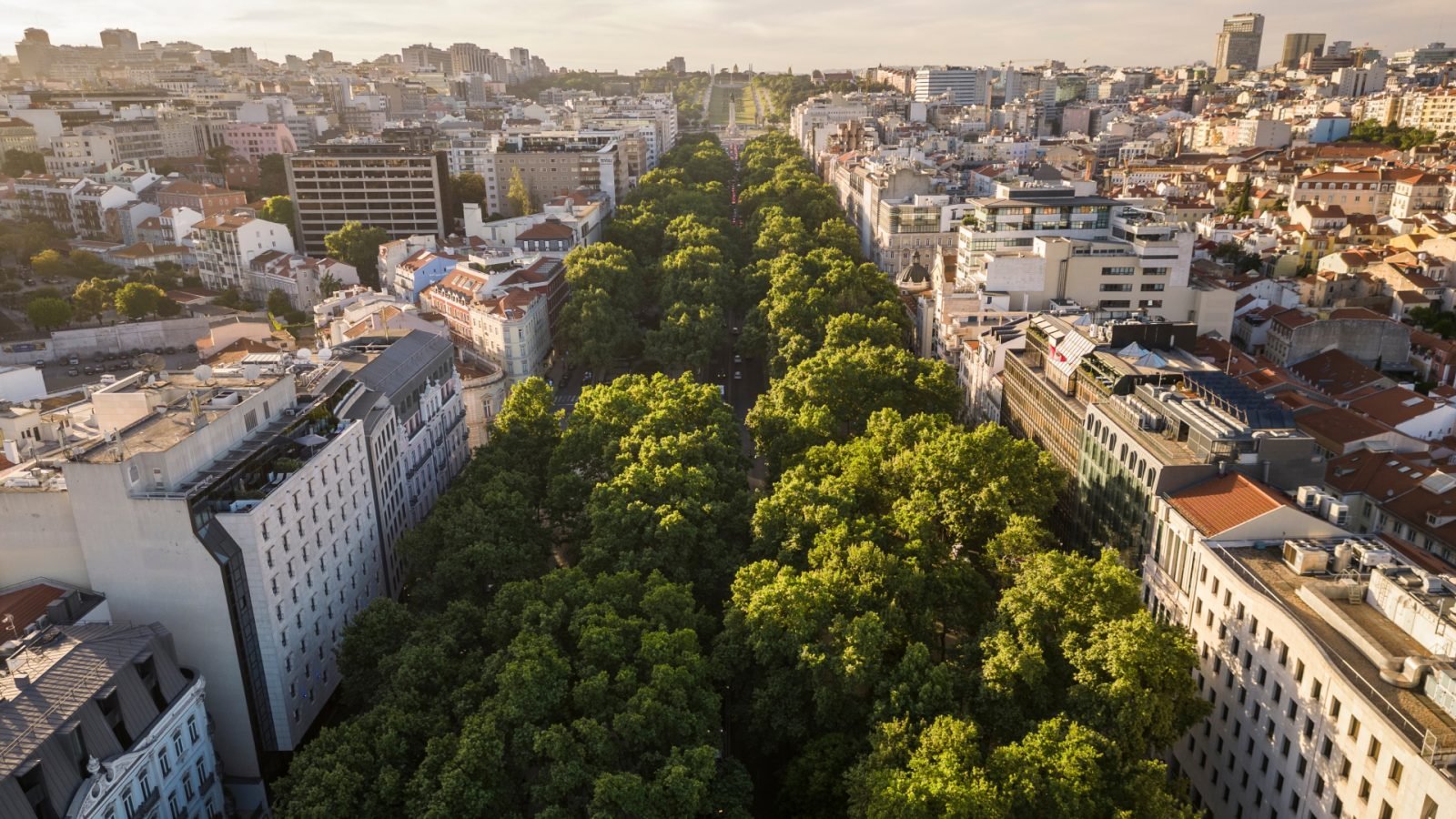 atrakcje-lizbony-ktore-warto-zobaczyc-praktyczny-przewodnik-galeria-1