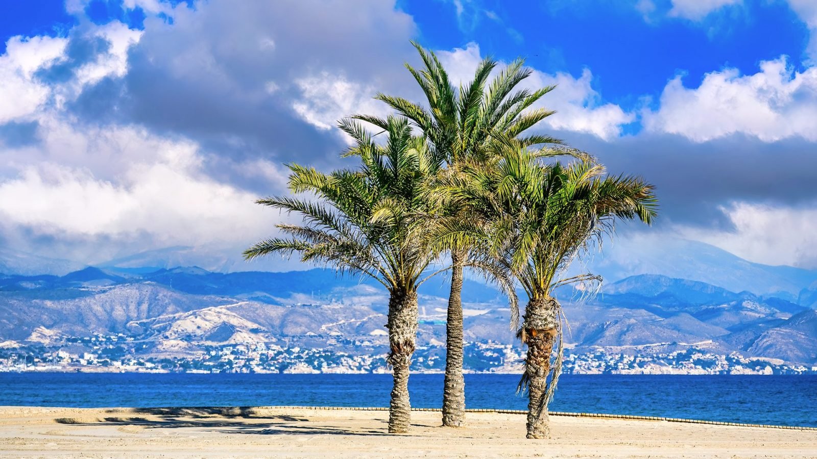 alicante-co-zobaczyc-w-stolicy-costa-blanca-galeria-2