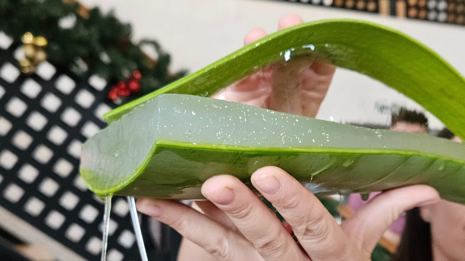 fuerteventura-atrakcje-ktore-warto-zobaczyc-informacja