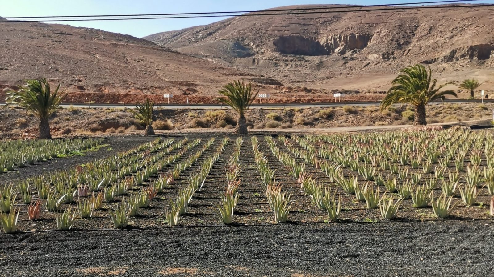 fuerteventura-atrakcje-ktore-warto-zobaczyc-galeria-1