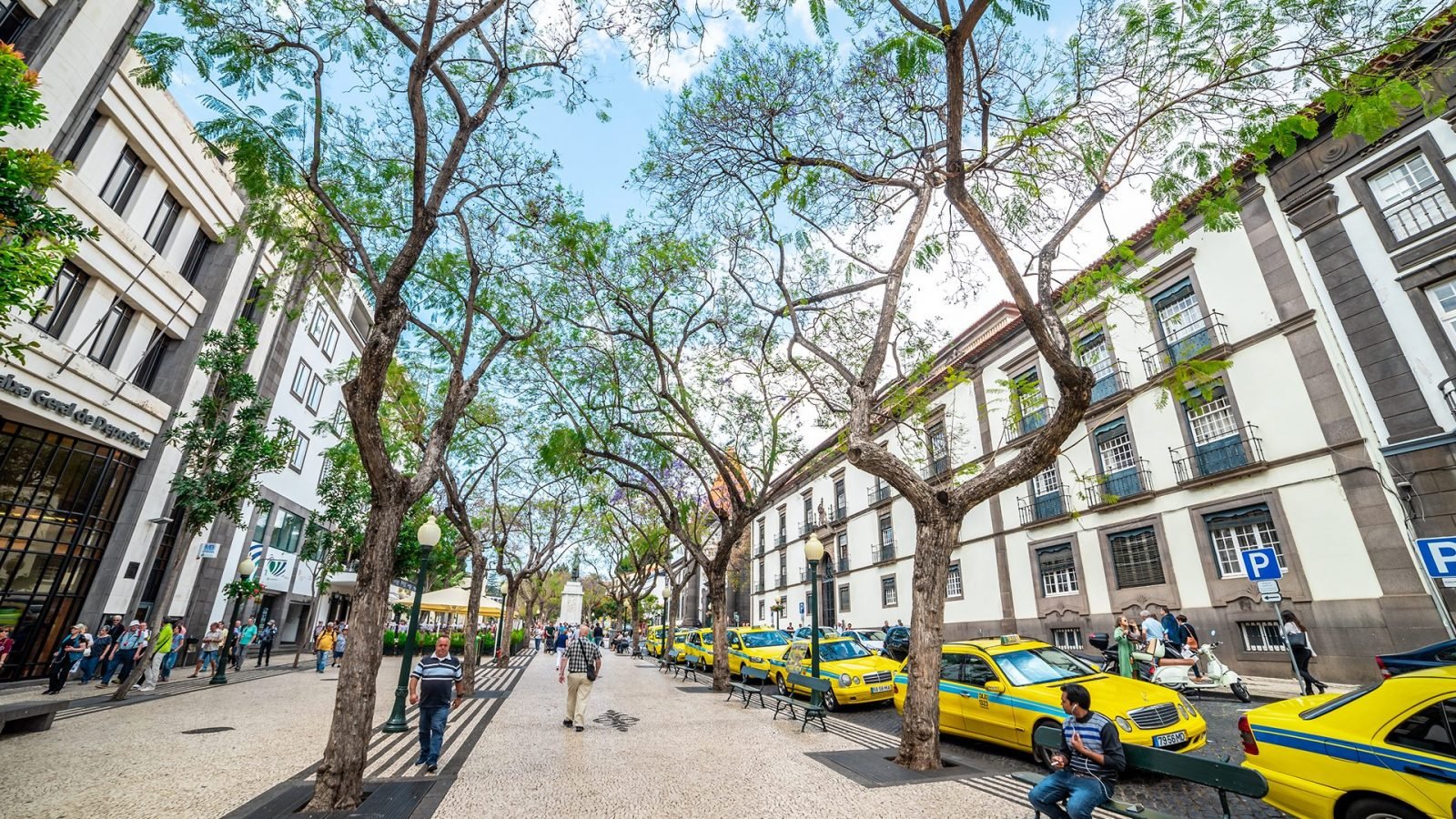 funchal-co-zobaczyc-najciekawsze-atrakcje-stolicy-madery-galeria-1