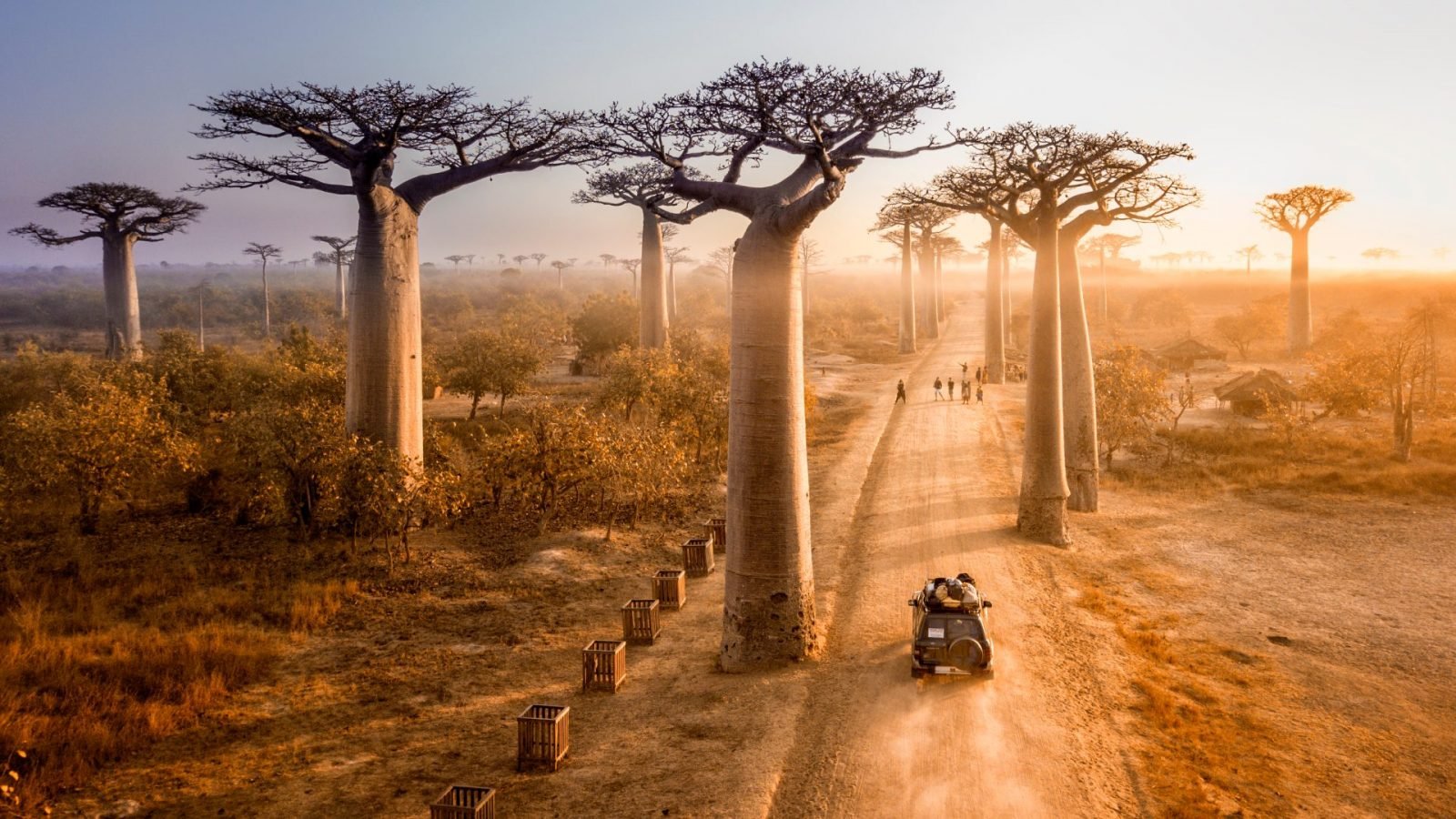 Aleja Baobabów