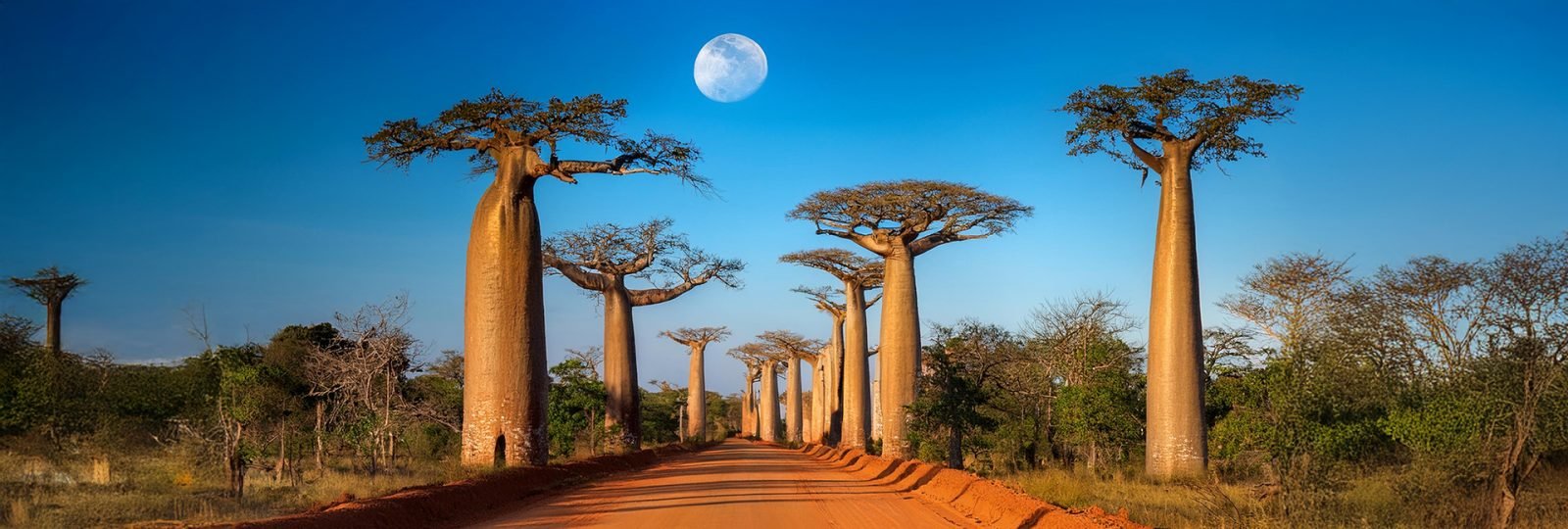 maurycy-bieniowski-poznaj-historie-polskiego-krola-madagaskaru