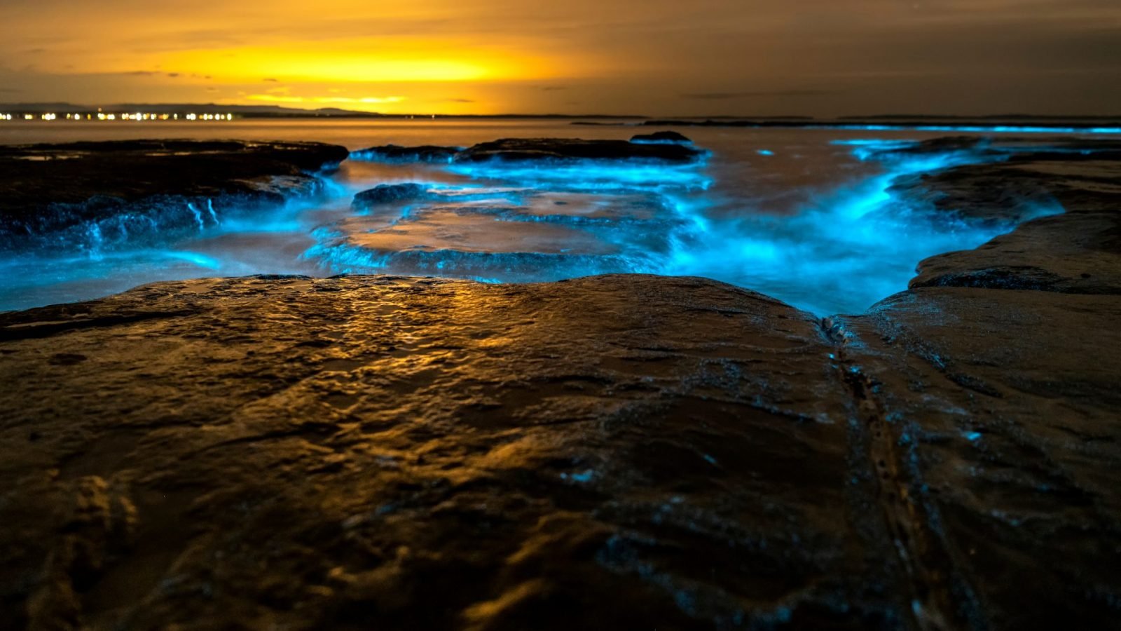 Jervis Bay w australijskim New South Wales
