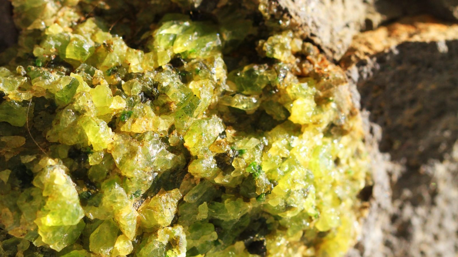 Oliwin - zielone plaże 