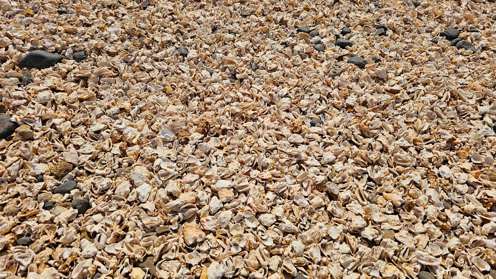 wyspy-zielonego-przyladka-atrakcje-na-sal-galeria-2