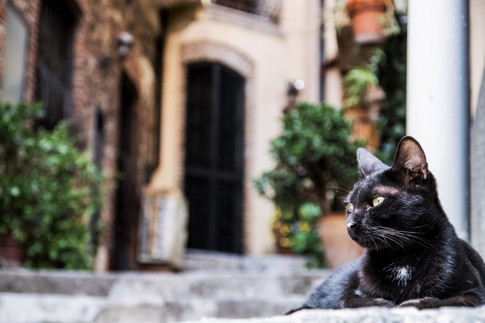 pilot-radzi-co-wypada-a-czego-lepiej-nie-robic-we-wloszech-galeria-1