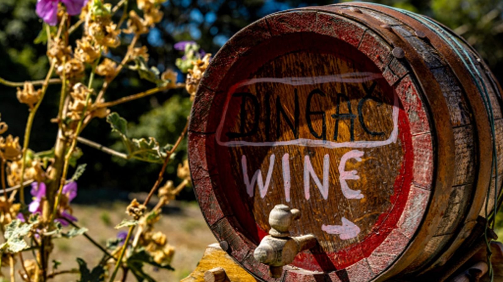 chorwackie-jedzenie-co-zjesz-w-chorwacji-galeria-2